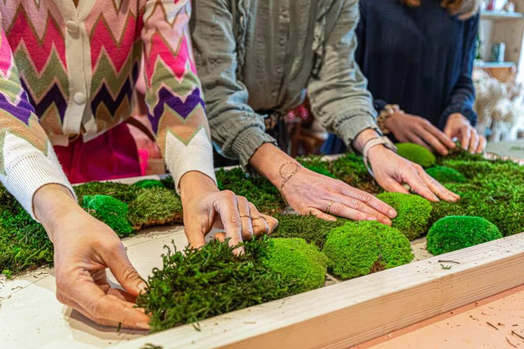 Wecandoo_Claire jaurand_17_Vegetal_27112024 (17)